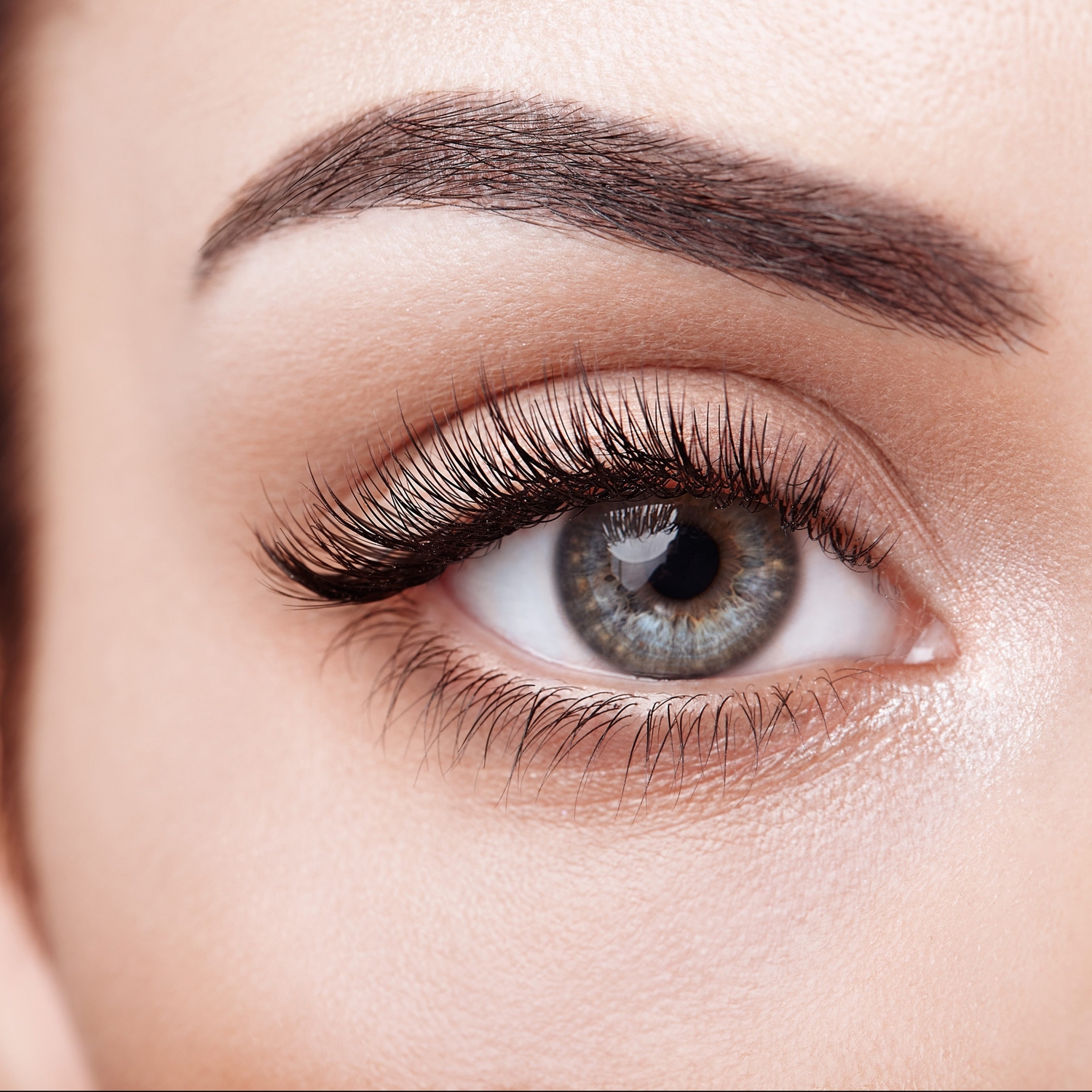 С нуля: 6 в 1- мастер по архитектуре, коррекции, окрашиванию бровей + окрашиванию ресниц + ламинированию бровей и ресниц+ботокс 14 ак/ч 